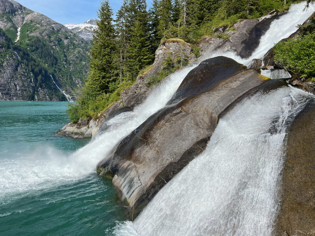alaskaglacierviewing