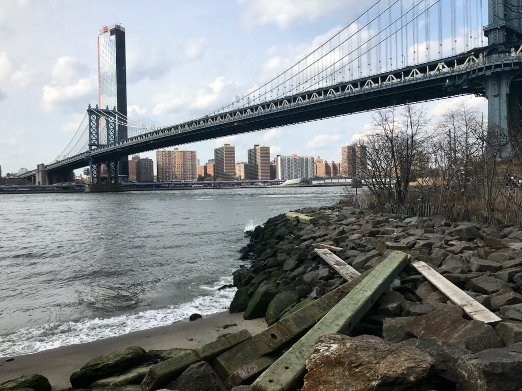 brooklynnewyork
